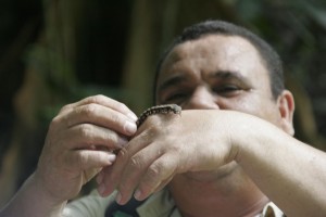 Our guide shows us a bug