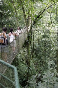 Tourists cheat death