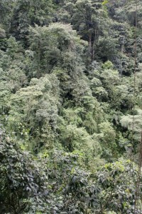 View from the bridge
