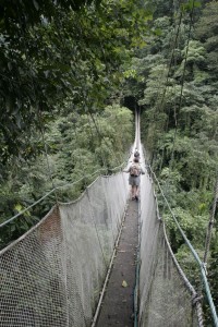 The big bridge