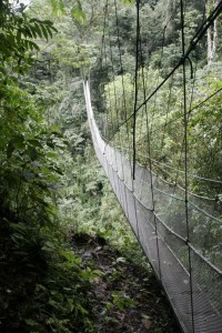 The big bridge
