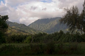 Near Hanalei Bay