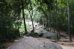 Mountain trail