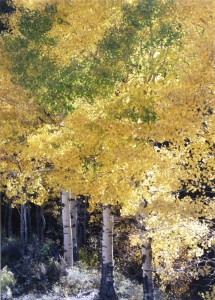 Aspens