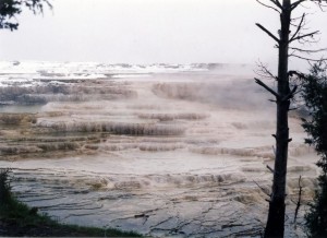 Mammoth Hot Springs