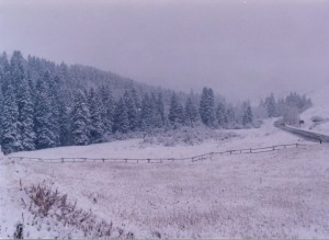 Snowy field in Wyoming