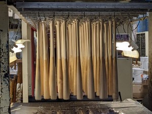 Dipped bats (photo by Daniel)