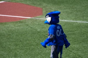 Ace the mascot