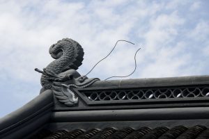 img 7730