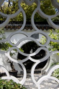 img 7738