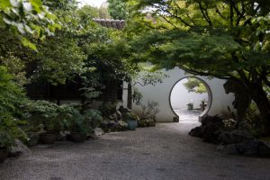 img 7750