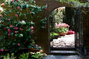 Filoli Mansion and Gardens
