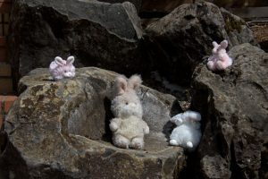 Easter Bunnies - 2025