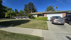 Front Yard