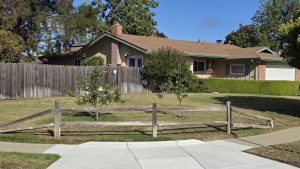 Front Yard