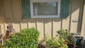 Front Yard