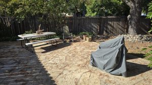Side Yard