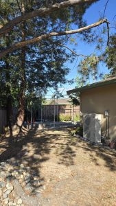 Side Yard