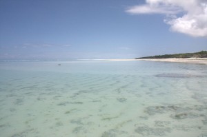 Ras Nangwi
