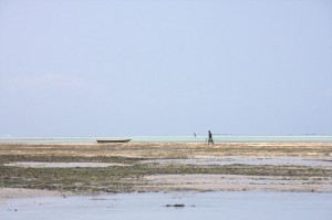 Ras Nangwi