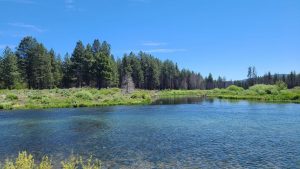 Susan River, Susanville, CA