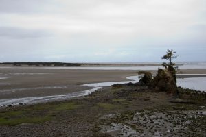Siletz Bay