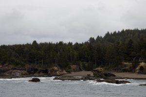 Oregon Coast