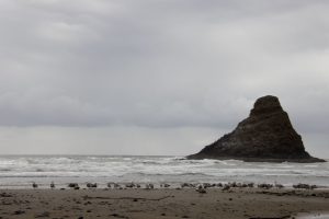 Cape Cove Beach