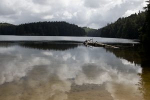 Eel Lake?