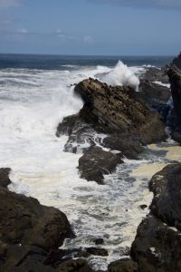 Shore Acres