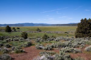 Where we saw the antelope (Eagle Lake?)