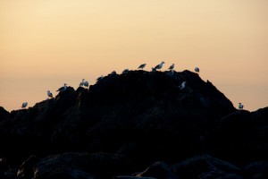 img_8893