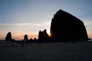 img_8895