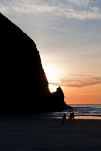 img_8896