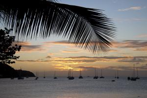Caribbean Cruise - Jan/Feb 2025