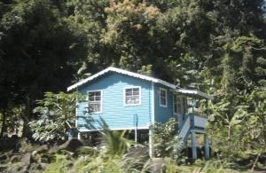 Blue house