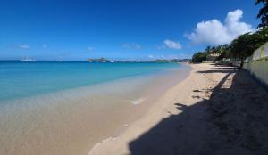 Beach at the hotel