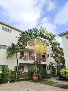 Cool palm tree