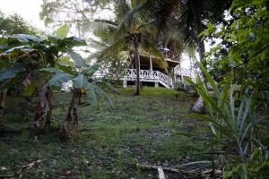 Stony Hill house