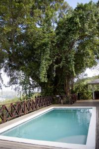 Banyon tree and pool