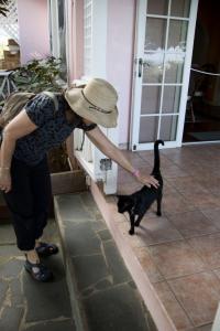 Marion makes a friend