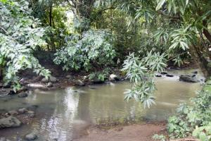 River at the farm