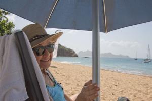 Caribbean Cruise - Day 9 - St Vincent