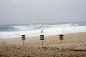 North shore