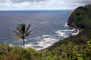 Hawaii - 2006