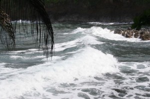 Onomea Bay