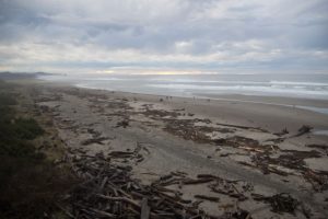 Low tide