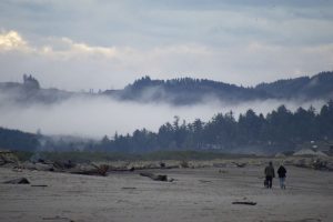 Mist on the mountains