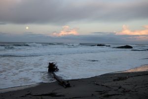 Beach and moon