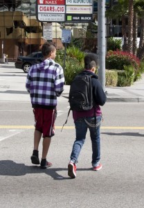 Mohawks 